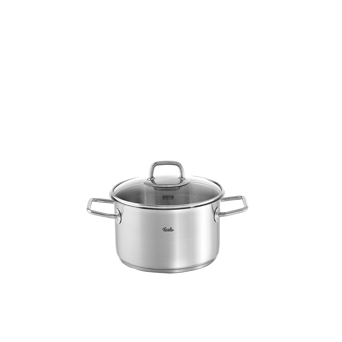 Fissler Viseo® Cooking Pot - modern stainless steel pot with Glass Lid and side handles, suitable for induction, on a white background.