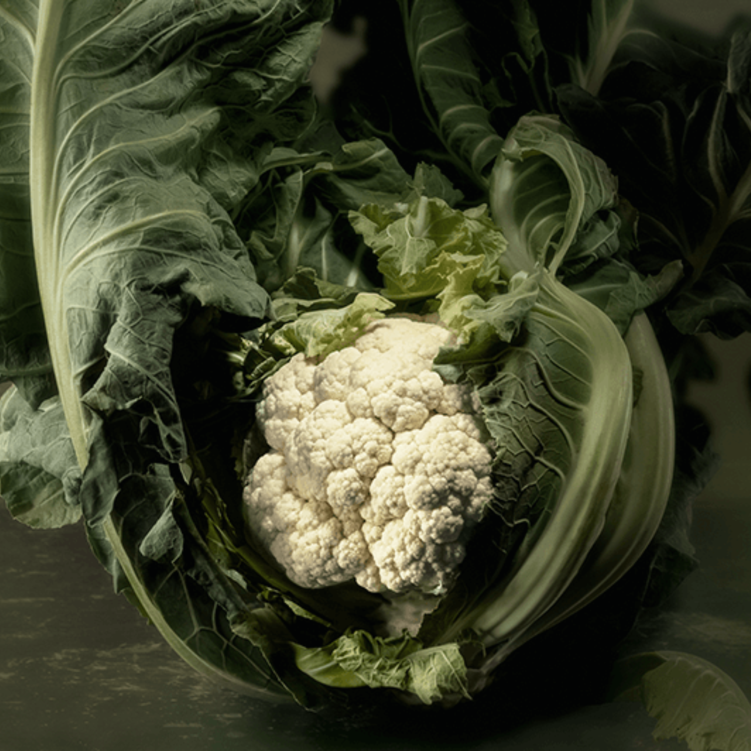 A fresh cauliflower with dark green leaves, beautifully lit to reveal its texture - ready for precise preparation in Fissler cookware.
