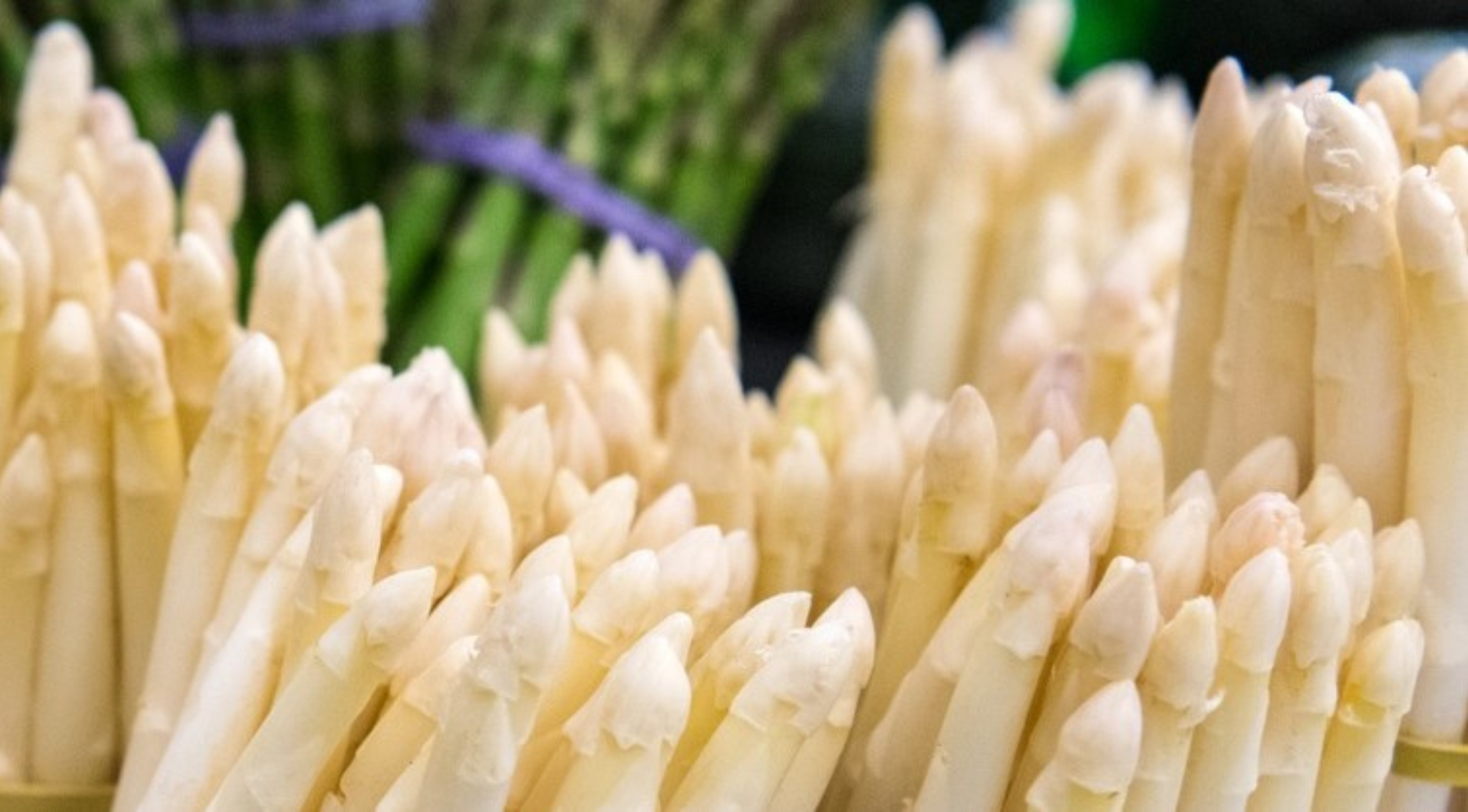 White asparagus bundles in sharp focus, blurred green asparagus behind – a precision worthy of Fissler cookware.