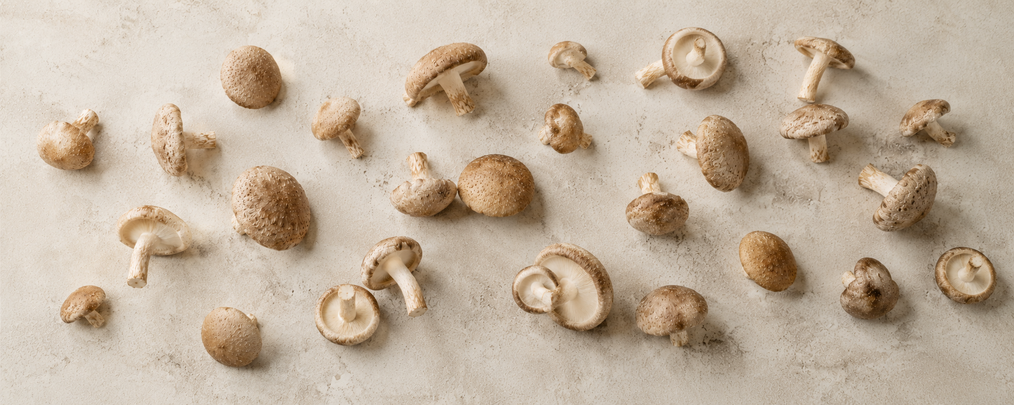 Eine Auswahl an ganzen braunen Champignons mit Stielen, kunstvoll auf einer sanft strukturierten beigen Oberfläche angerichtet – eine ideale Zutat für die Zubereitung außergewöhnlicher Gerichte mit dem hochwertigen Edelstahl-Kochgeschirr von Fissler, das seit 1845 für dauerhafte Leistungsfähigkeit und zeitloses Design entwickelt wird.