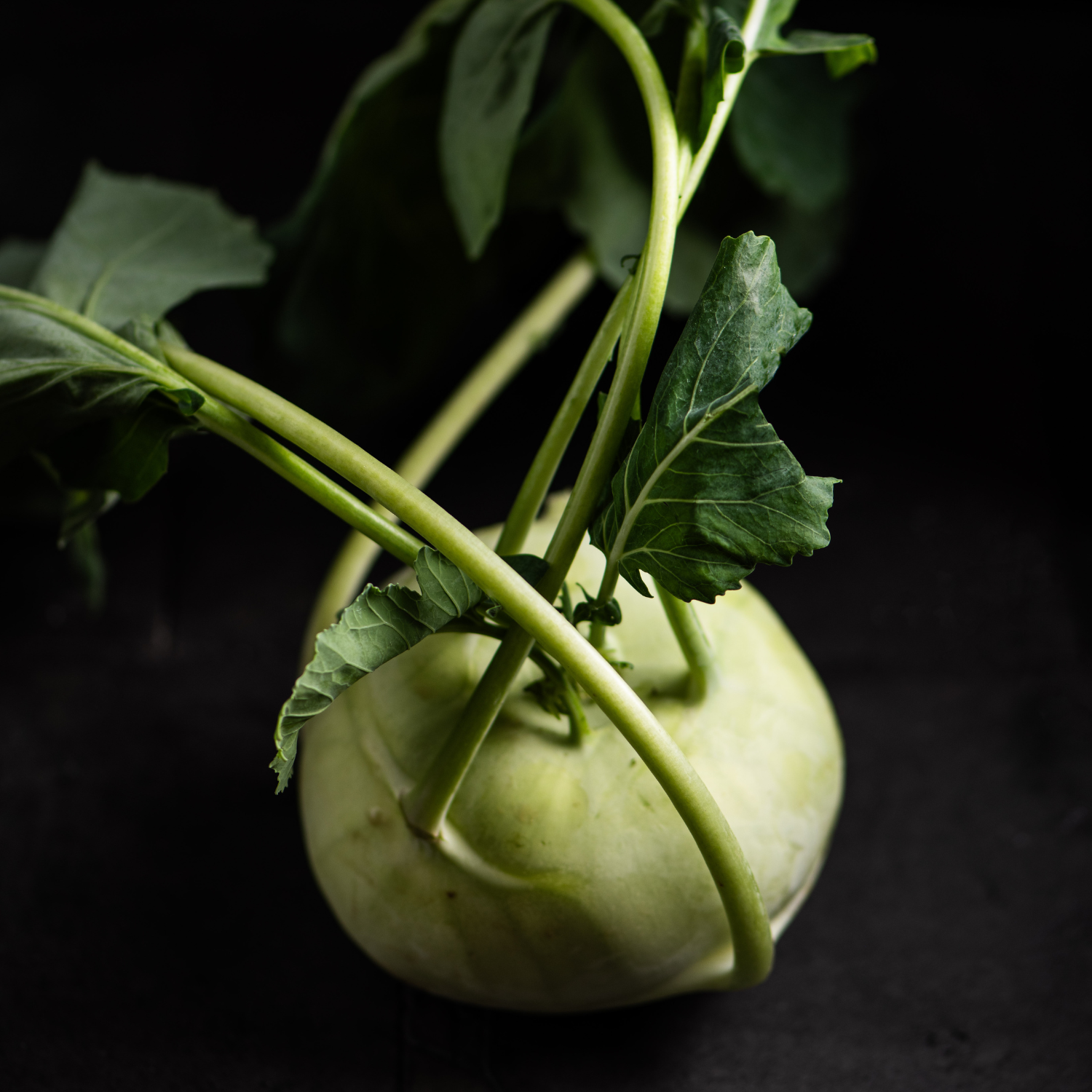 Ein frischer Kohlrabi mit leuchtenden Blättern ruht auf einer dunklen Oberfläche, die beleuchtet ist, um seine runde Form zu betonen - perfekt für Fissler Kochgeschirr.